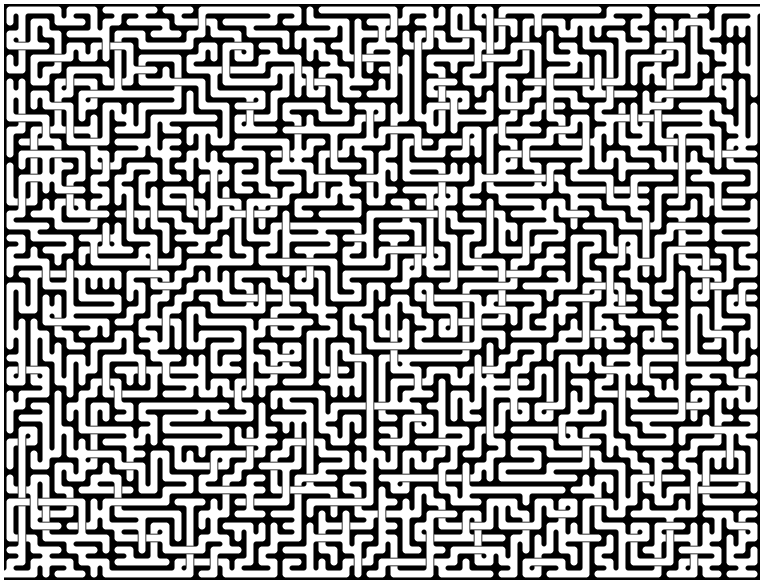 48x63 maze 1