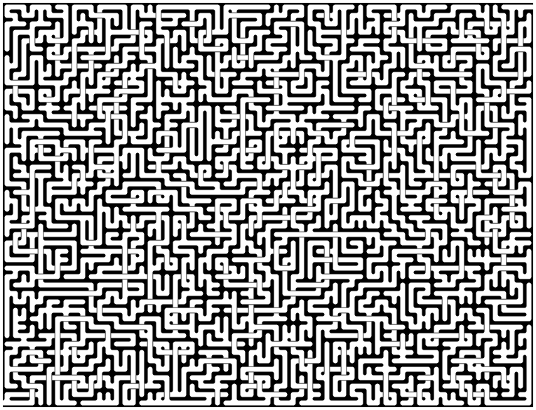 48x63 maze 2